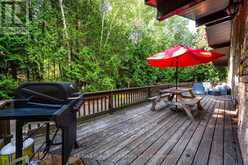 66 HARPUR DRIVE | Tobermory Ontario | Slide Image Six