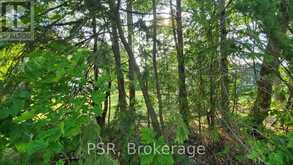 LOT 59 47TH STREET S | Wasaga Beach Ontario | Slide Image Seven