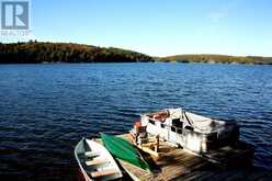 13303 LITTLE HAWK LAKE - SOUTH SHORE | Haliburton Ontario | Slide Image Thirty-one
