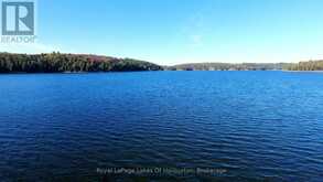 13303 LITTLE HAWK LAKE - SOUTH SHORE | Haliburton Ontario | Slide Image Thirty-two