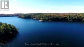 13303 LITTLE HAWK LAKE - SOUTH SHORE | Haliburton Ontario | Slide Image Thirty-three