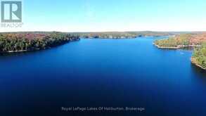 13303 LITTLE HAWK LAKE - SOUTH SHORE | Haliburton Ontario | Slide Image Thirty-four