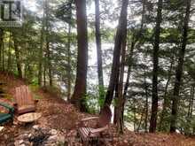 13303 LITTLE HAWK LAKE - SOUTH SHORE | Haliburton Ontario | Slide Image Forty-two