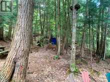 13303 LITTLE HAWK LAKE - SOUTH SHORE | Haliburton Ontario | Slide Image Forty-four