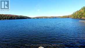 13303 LITTLE HAWK LAKE - SOUTH SHORE | Haliburton Ontario | Slide Image Five