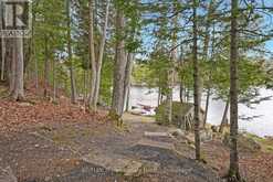 1157 BETWEEN LAKES TRAIL | Minden Hills Ontario | Slide Image Thirty-nine