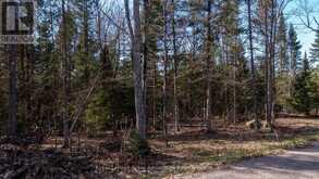LOT 2 GREENWOOD WAY | Whitestone Ontario | Slide Image Eleven