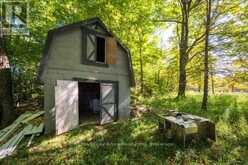 290 CLARKE'S ROAD | Lion's Head Ontario | Slide Image Twelve