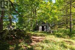 290 CLARKE'S ROAD | Lion's Head Ontario | Slide Image Thirteen