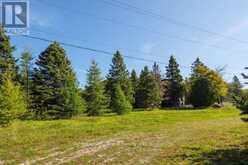 290 CLARKE'S ROAD | Lion's Head Ontario | Slide Image Twenty-one