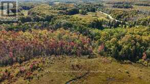 290 CLARKE'S ROAD | Lion's Head Ontario | Slide Image Thirty-four