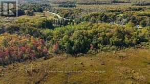 290 CLARKE'S ROAD | Lion's Head Ontario | Slide Image Thirty-five