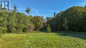 290 CLARKE'S ROAD | Lion's Head Ontario | Slide Image Forty-two