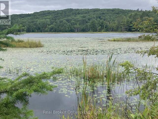 8145 HIGHWAY 17 HIGHWAY E Calvin Ontario, P0H 2E0 - Vacant Land For Sale