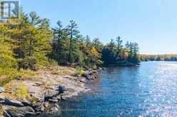 1-1076 BIRCH POINT ROAD | Gravenhurst Ontario | Slide Image Twenty-one