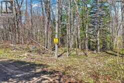 1165 SPRING LAKE ROAD | Bracebridge Ontario | Slide Image Nineteen