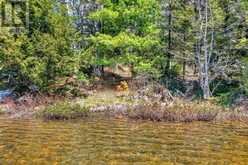 1165 SPRING LAKE ROAD | Bracebridge Ontario | Slide Image Two