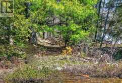 1165 SPRING LAKE ROAD | Bracebridge Ontario | Slide Image Eight