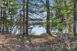 1165 SPRING LAKE ROAD | Bracebridge Ontario | Slide Image Nine