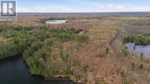 0 FIRST LAKE | Seguin Ontario | Slide Image Ten