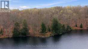 0 FIRST LAKE | Seguin Ontario | Slide Image Twelve