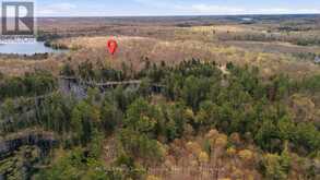 0 FIRST LAKE | Seguin Ontario | Slide Image Thirteen