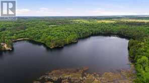 0 FIRST LAKE | Seguin Ontario | Slide Image Fourteen