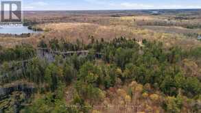 0 FIRST LAKE | Seguin Ontario | Slide Image Nine