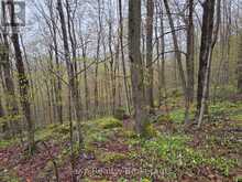 PT LT 14 2ND CONCESSION ROAD N | Owen Sound Ontario | Slide Image Twelve