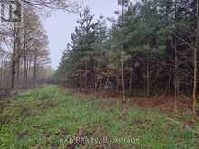 PT LT 14 2ND CONCESSION ROAD N | Owen Sound Ontario | Slide Image Eight