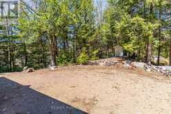 10469 LITTLE HAWK LAKE WAO | Haliburton Ontario | Slide Image Thirty-one