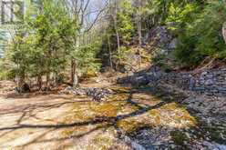 10469 LITTLE HAWK LAKE WAO | Haliburton Ontario | Slide Image Thirty-four