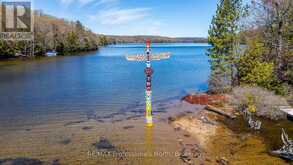 10469 LITTLE HAWK LAKE WAO | Haliburton Ontario | Slide Image Forty-three