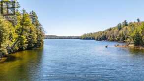 10469 LITTLE HAWK LAKE WAO | Haliburton Ontario | Slide Image Forty-four