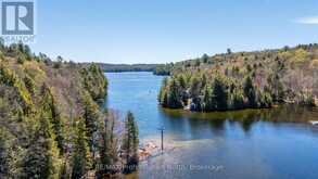 10469 LITTLE HAWK LAKE WAO | Haliburton Ontario | Slide Image Forty-five