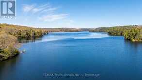 10469 LITTLE HAWK LAKE WAO | Haliburton Ontario | Slide Image Forty-six