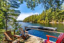 12553 LITTLE HAWK LAKE EAST SHORE WAO | Haliburton Ontario | Slide Image Thirty-eight