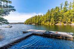 12553 LITTLE HAWK LAKE EAST SHORE WAO | Haliburton Ontario | Slide Image Forty