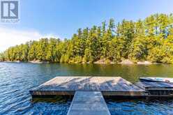 12553 LITTLE HAWK LAKE EAST SHORE WAO | Haliburton Ontario | Slide Image Forty-one
