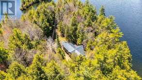 12553 LITTLE HAWK LAKE EAST SHORE WAO | Haliburton Ontario | Slide Image Forty-four