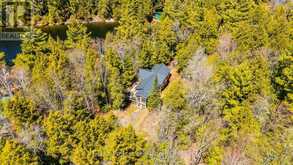 12553 LITTLE HAWK LAKE EAST SHORE WAO | Haliburton Ontario | Slide Image Forty-five