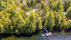 12553 LITTLE HAWK LAKE EAST SHORE WAO | Haliburton Ontario | Slide Image Forty-six