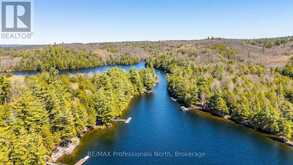 12553 LITTLE HAWK LAKE EAST SHORE WAO | Haliburton Ontario | Slide Image Forty-nine