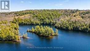 12553 LITTLE HAWK LAKE EAST SHORE WAO | Haliburton Ontario | Slide Image Fifty