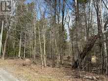 TBD NORTH DRIVE | Dysart et al Ontario | Slide Image Two