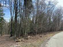 TBD NORTH DRIVE | Dysart et al Ontario | Slide Image Three