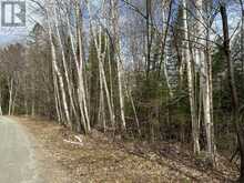 TBD NORTH DRIVE | Dysart et al Ontario | Slide Image Four