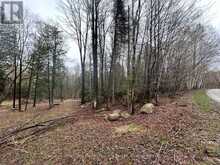 TBD NORTH DRIVE | Dysart et al Ontario | Slide Image Six