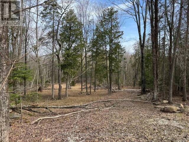 TBD NORTH DRIVE Dysart et al Ontario, K0M 1M0 - Vacant Land For Sale