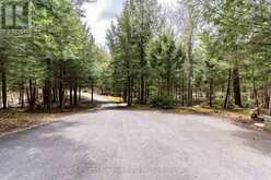 13-1630 MUSKOKA DISTRICT ROAD 38 ROAD | Bala Ontario | Slide Image Forty-four